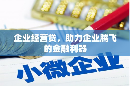 双清企业经营贷，助力企业腾飞的金融利器