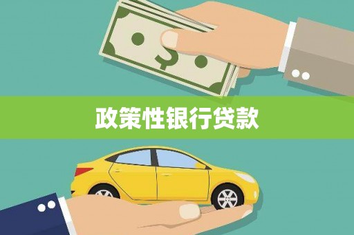 双清政策性银行贷款