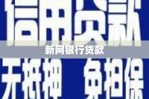 双清新网银行贷款