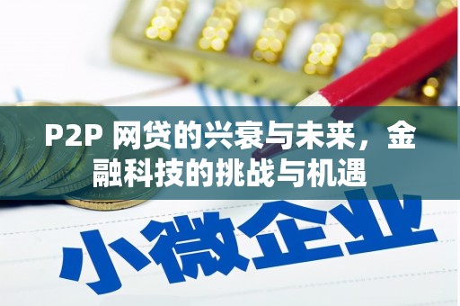 双清P2P 网贷的兴衰与未来，金融科技的挑战与机遇