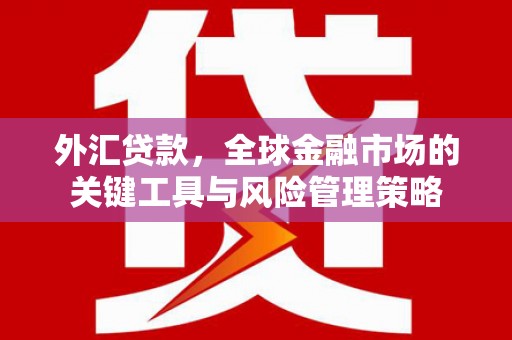 双清外汇贷款，全球金融市场的关键工具与风险管理策略