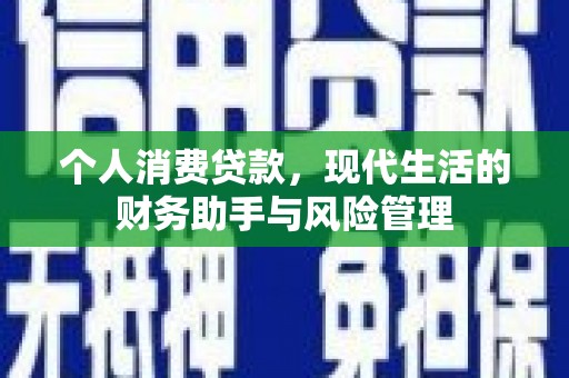 双清个人消费贷款，现代生活的财务助手与风险管理
