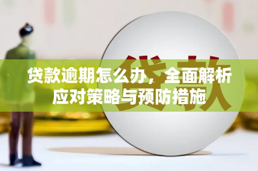 双清贷款逾期怎么办，全面解析应对策略与预防措施