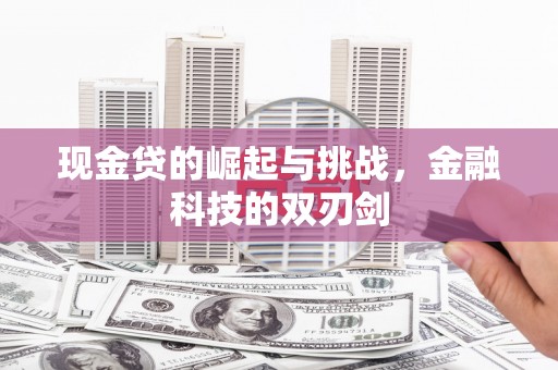 双清现金贷的崛起与挑战，金融科技的双刃剑