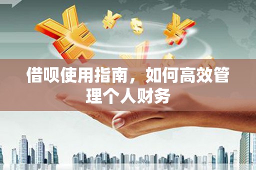 双清借呗使用指南，如何高效管理个人财务