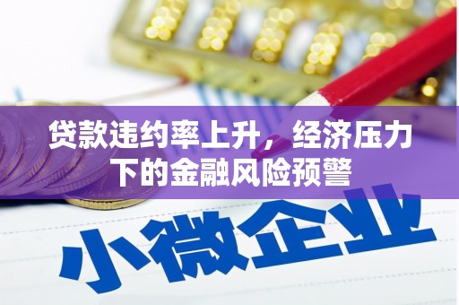 双清贷款违约率上升，经济压力下的金融风险预警
