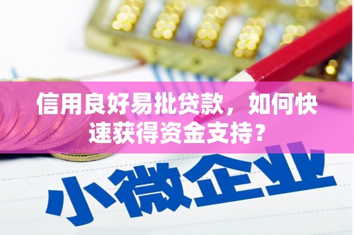 双清信用良好易批贷款，如何快速获得资金支持？