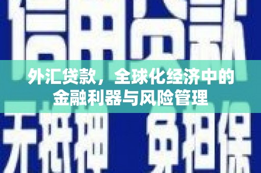 双清外汇贷款，全球化经济中的金融利器与风险管理