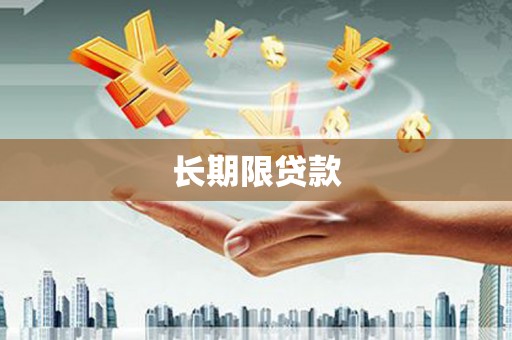 双清长期限贷款