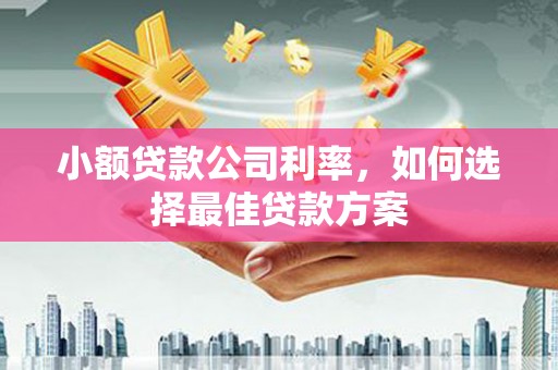 双清小额贷款公司利率，如何选择最佳贷款方案