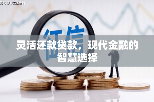 双清灵活还款贷款，现代金融的智慧选择