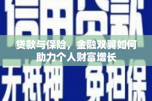 双清贷款与保险，金融双翼如何助力个人财富增长