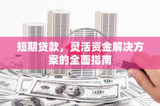 双清短期贷款，灵活资金解决方案的全面指南