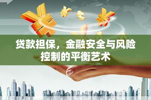 双清贷款担保，金融安全与风险控制的平衡艺术