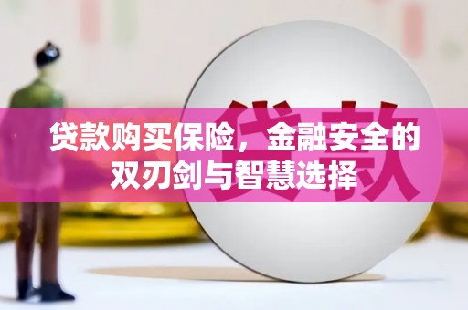 双清贷款购买保险，金融安全的双刃剑与智慧选择