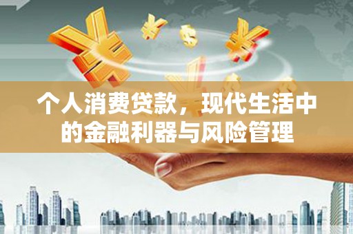 双清个人消费贷款，现代生活中的金融利器与风险管理