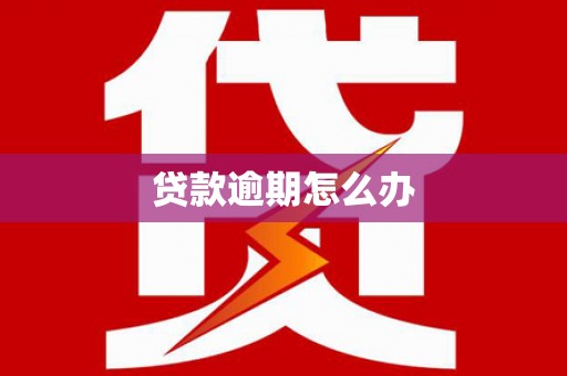 双清贷款逾期怎么办