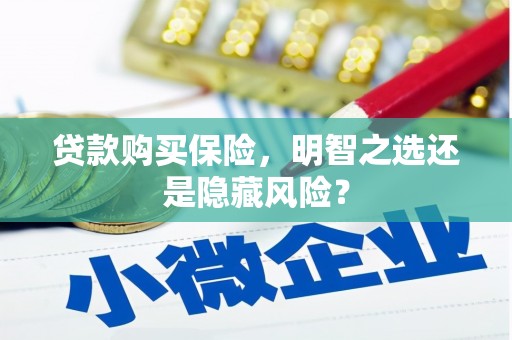 双清贷款购买保险，明智之选还是隐藏风险？