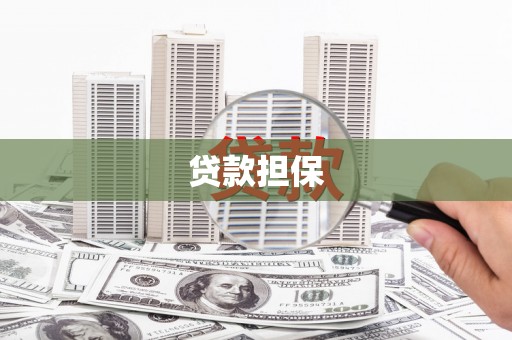 双清贷款担保