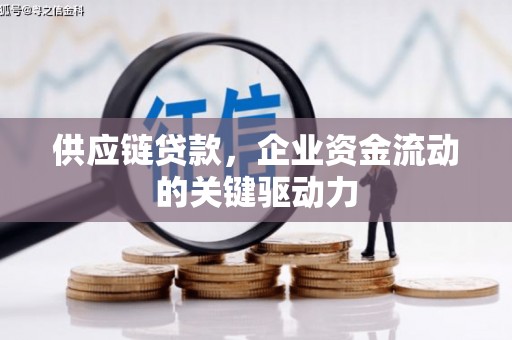 双清供应链贷款，企业资金流动的关键驱动力