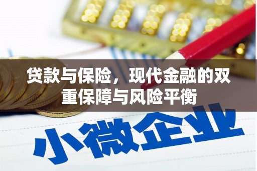 双清贷款与保险，现代金融的双重保障与风险平衡