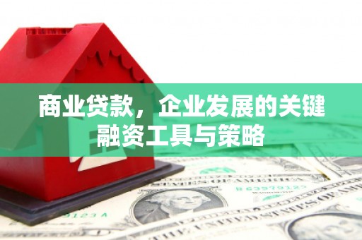 双清商业贷款，企业发展的关键融资工具与策略