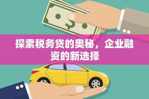 双清探索税务贷的奥秘，企业融资的新选择