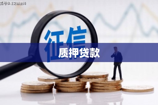 双清质押贷款