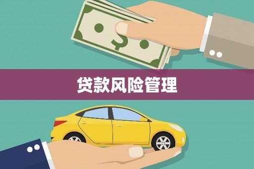 双清贷款风险管理