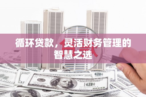 双清循环贷款，灵活财务管理的智慧之选