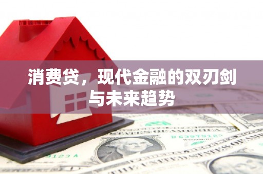 双清消费贷，现代金融的双刃剑与未来趋势
