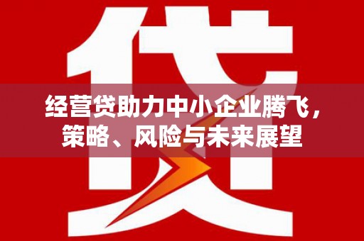 双清经营贷助力中小企业腾飞，策略、风险与未来展望