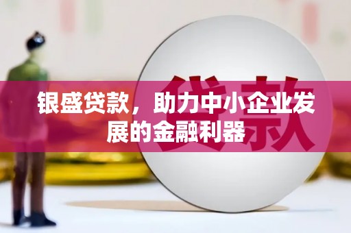 双清银盛贷款，助力中小企业发展的金融利器