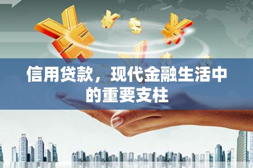 双清信用贷款，现代金融生活中的重要支柱