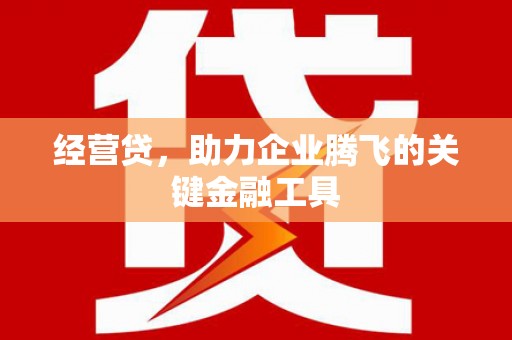 双清经营贷，助力企业腾飞的关键金融工具