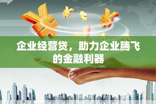 双清企业经营贷，助力企业腾飞的金融利器