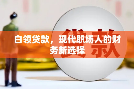 双清白领贷款，现代职场人的财务新选择