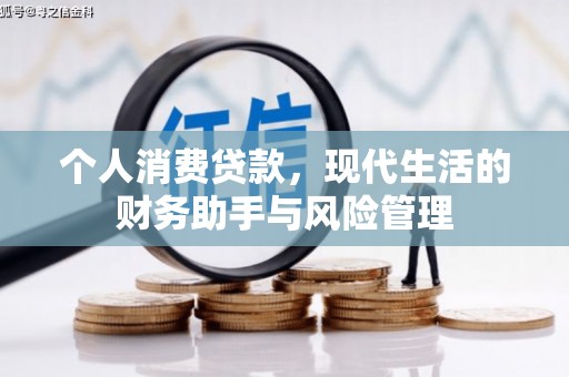 双清个人消费贷款，现代生活的财务助手与风险管理