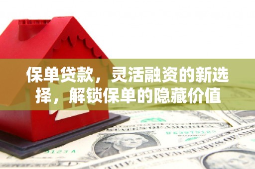 双清保单贷款，灵活融资的新选择，解锁保单的隐藏价值