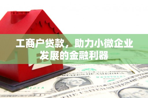 双清工商户贷款，助力小微企业发展的金融利器