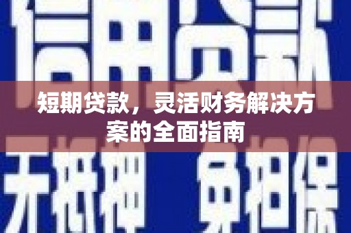 双清短期贷款，灵活财务解决方案的全面指南