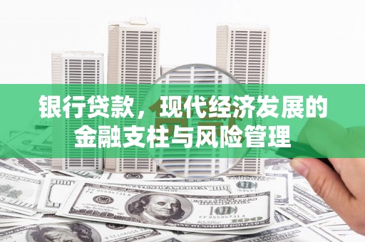 双清银行贷款，现代经济发展的金融支柱与风险管理