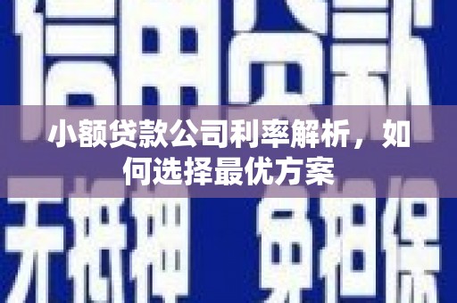 双清小额贷款公司利率解析，如何选择最优方案
