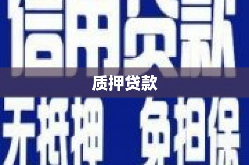 双清质押贷款