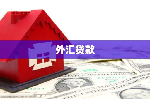 双清外汇贷款