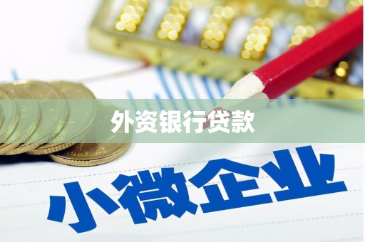 双清外资银行贷款