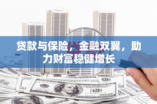 双清贷款与保险，金融双翼，助力财富稳健增长