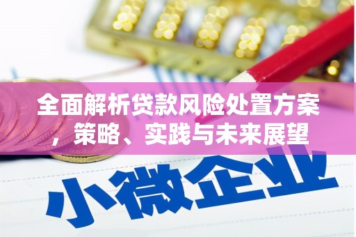 双清全面解析贷款风险处置方案，策略、实践与未来展望