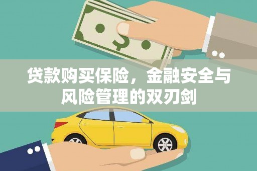 双清贷款购买保险，金融安全与风险管理的双刃剑
