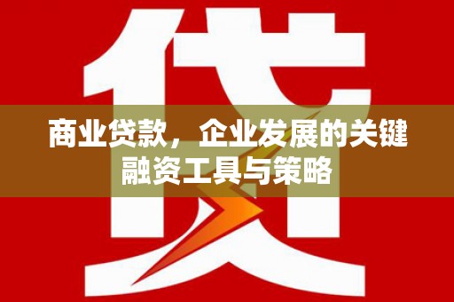 双清商业贷款，企业发展的关键融资工具与策略